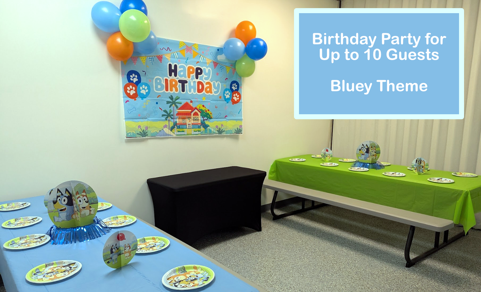 Bluey 10 Person Party
