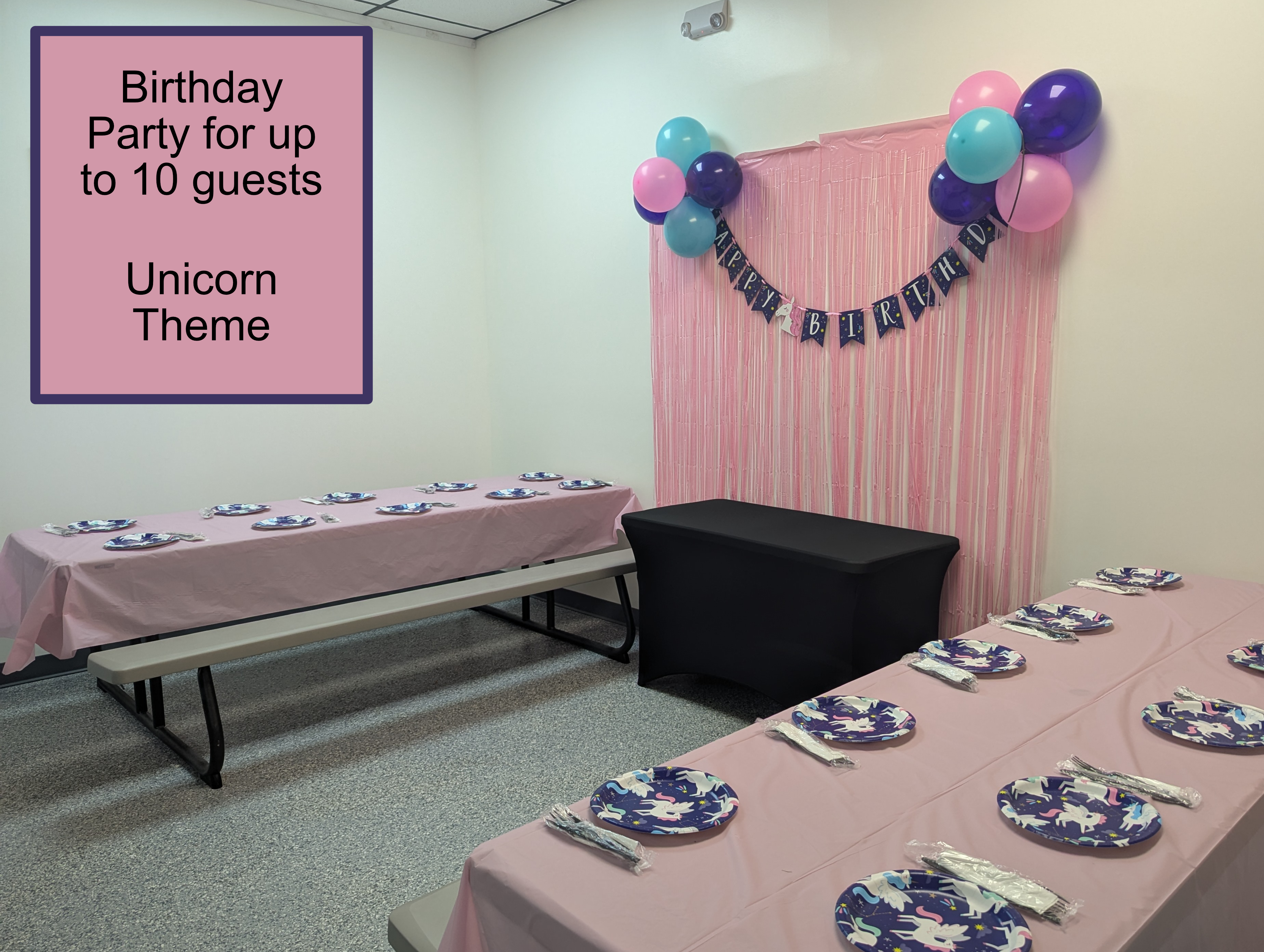 Unicorn 10 Person Party